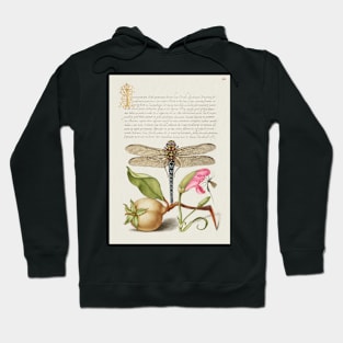 Antique 16th Century Calligraphy with Dragonfly and Flora Hoodie